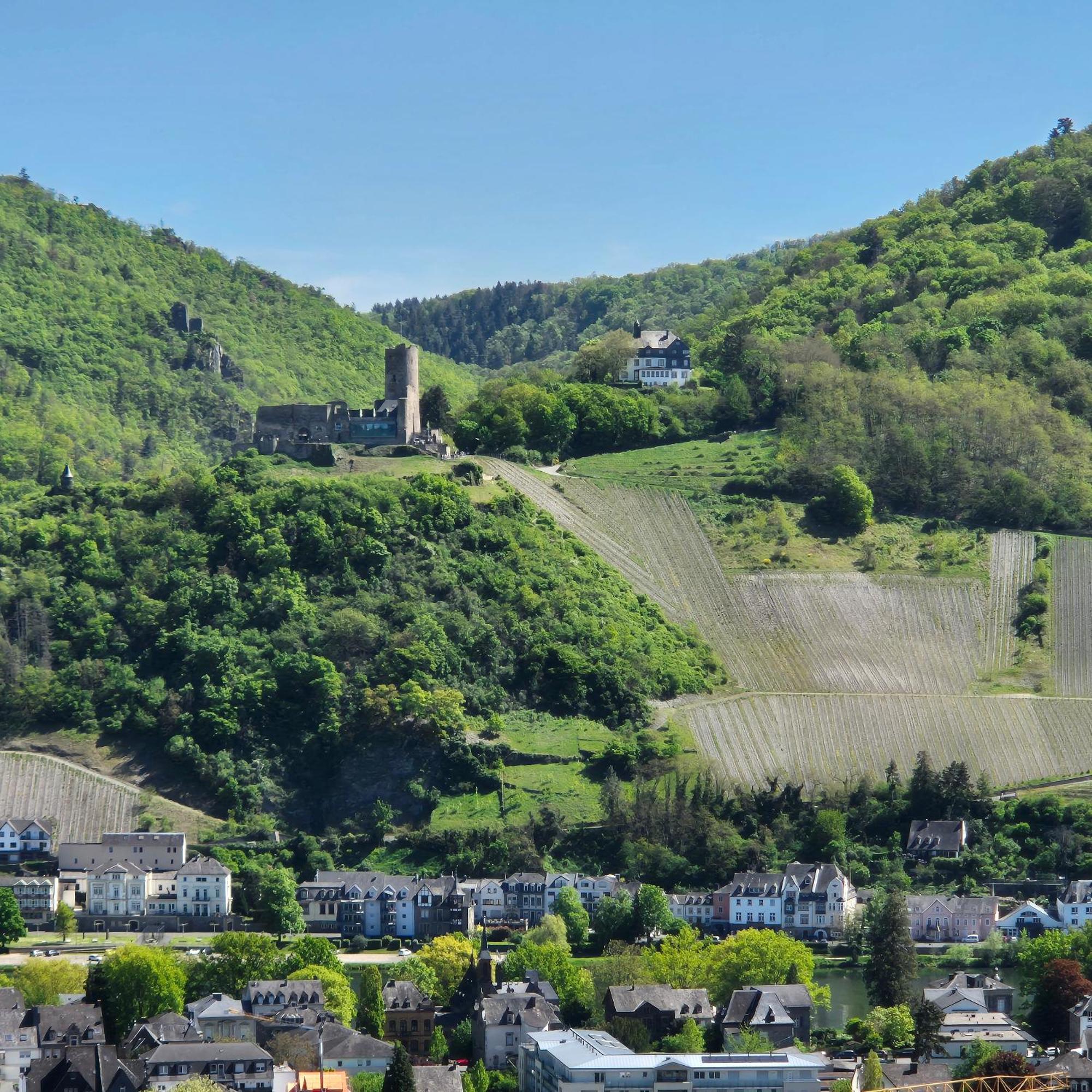 Goldrausch